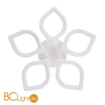 Потолочный светильник Arte Lamp Polli A2531PL-5WH