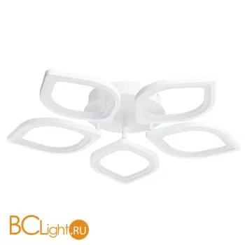 Потолочный светильник Arte Lamp Polli A2531PL-5WH - Фото 0