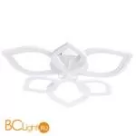 Потолочный светильник Arte Lamp Polli A2531PL-6WH - Фото 2