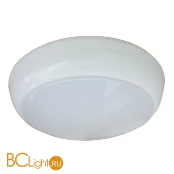 Уличный потолочный светильник Arte Lamp Porch A4520PF-1WH