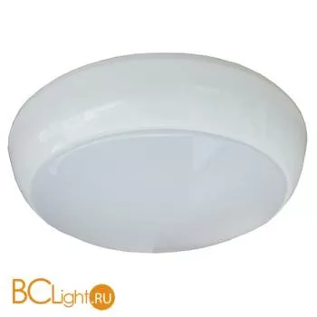 Уличный потолочный светильник Arte Lamp Porch A4520PF-2WH