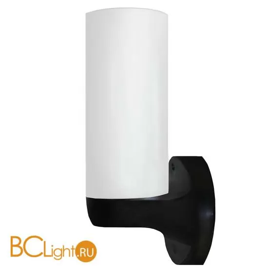 Настенный уличный светильник Arte Lamp Porch A5171AL-1BK