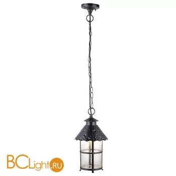 Уличный подвесной светильник Arte Lamp Prague A1465SO-1RI