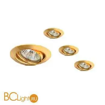 Потолочный светильник Arte Lamp PRAKTISCH A1213PL-3GO