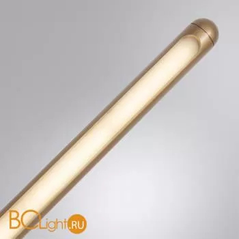 Настенный светильник Arte Lamp Prima A2028AP-1GO - Фото 2