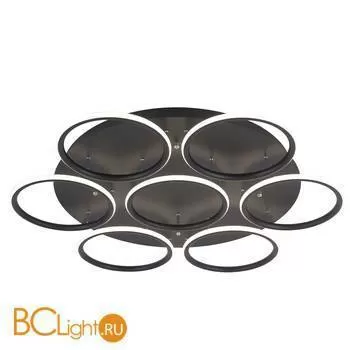 Потолочный светильник Arte Lamp Rapid A2500PL-7BK