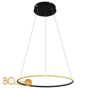 Подвесной светильник Arte Lamp Rapid A2500SP-1BK