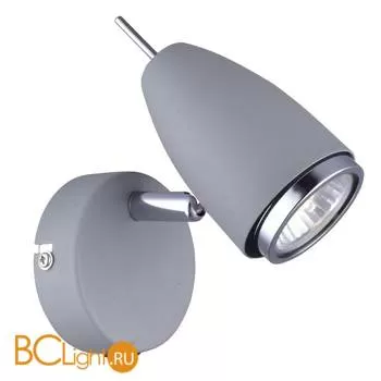 Бра Arte Lamp Regista A1966AP-1GY