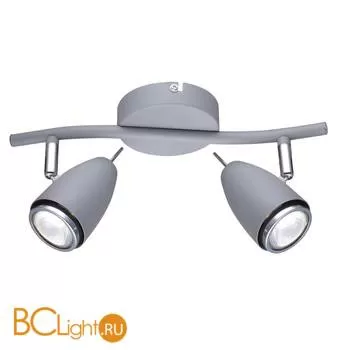 Спот (точечный светильник) Arte Lamp Regista A1966AP-2GY