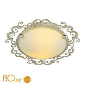Потолочный светильник Arte Lamp Riccioli A1060PL-2WG
