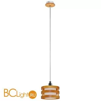 Подвесной светильник Arte Lamp Ring A1320SP-1CC