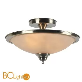 Потолочный светильник Arte Lamp Safari A6905PL-2AB