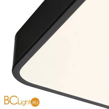 Потолочный светильник Arte Lamp Scena A2669PL-1BK - Фото 2