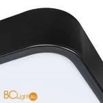 Потолочный светильник Arte Lamp Scena A2669PL-1BK - Фото 3