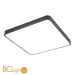 Потолочный светильник Arte Lamp Scena A2669PL-1BK