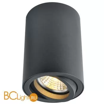 Накладной точечный светильник (спот) Arte Lamp Sentry A1560PL-1BK