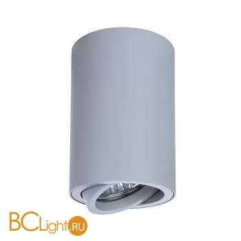 Накладной точечный светильник (спот) Arte Lamp Sentry A1560PL-1GY - Фото 0