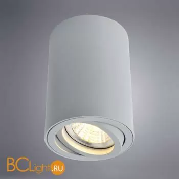 Накладной точечный светильник (спот) Arte Lamp Sentry A1560PL-1GY - Фото 1