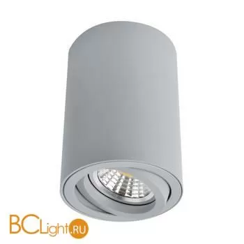 Накладной точечный светильник (спот) Arte Lamp Sentry A1560PL-1GY - Фото 3