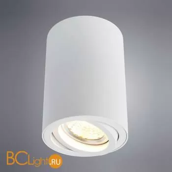 Накладной точечный светильник (спот) Arte Lamp Sentry A1560PL-1WH - Фото 0