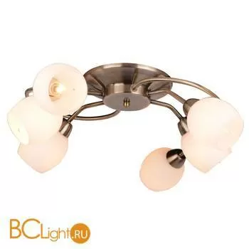 Потолочная люстра Arte Lamp Silvana A4033PL-6AB