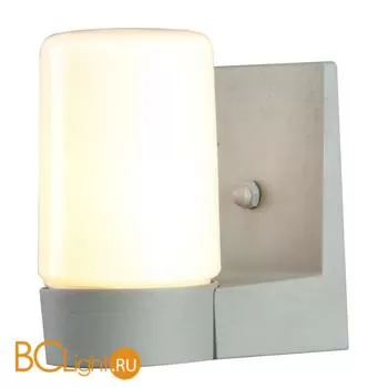 Уличный настенный светильник Arte Lamp Spasso A8058AL-1GY