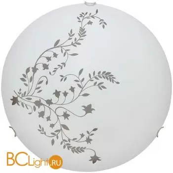 Настенно-потолочный светильник Arte Lamp Symphony A3820PL-2CC