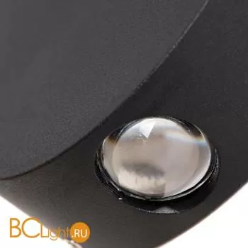 Настенный светильник Arte Lamp Tamburello A1525AP-1BK - Фото 1