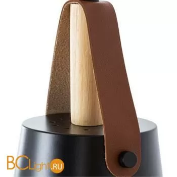 Подвесной светильник Arte Lamp Thomas A7032SP-1BK - Фото 1