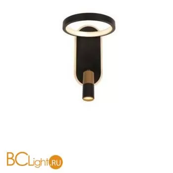 Настенный светильник Arte Lamp Toliman A2613AP-2BK