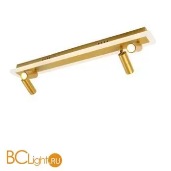 Спот Arte Lamp Tommy A2607PL-30GO