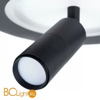 Спот Arte Lamp Tommy A2607AP-20BK - Фото 1