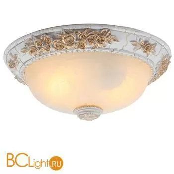 Потолочный светильник Arte Lamp Torta A7101PL-2WG