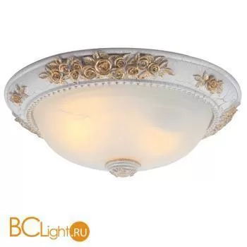 Потолочный светильник Arte Lamp Torta A7102PL-2WG