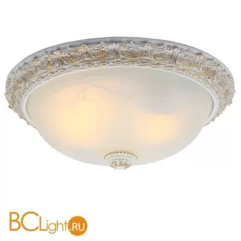 Потолочный светильник Arte Lamp Torta A7122PL-2WG