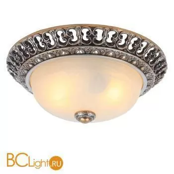 Потолочный светильник Arte Lamp Torta A7131PL-2SA