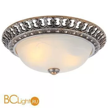Потолочный светильник Arte Lamp Torta A7132PL-2SA