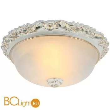 Потолочный светильник Arte Lamp Torta A7151PL-2WG