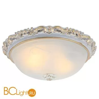 Потолочный светильник Arte Lamp Torta A7152PL-2WG
