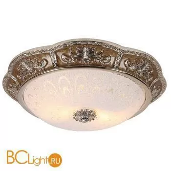 Потолочный светильник Arte Lamp Torta A7137PL-2CR