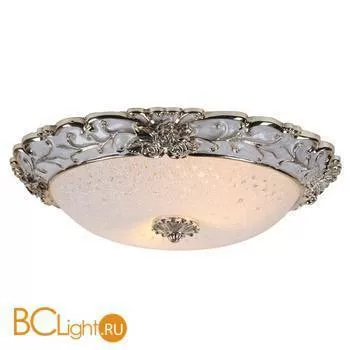Потолочный светильник Arte Lamp Torta A7135PL-2WH