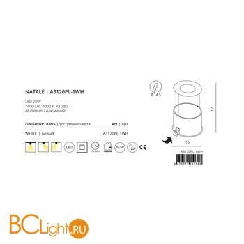 Встраиваемый светильник Arte Lamp Natale A3120PL-1WH - Схема