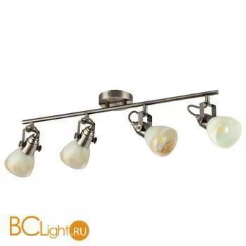 Потолочный светильник Arte Lamp Tulip A9582PL-4AB