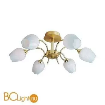 Потолочная люстра Arte Lamp TULIP A8292PL-6PB