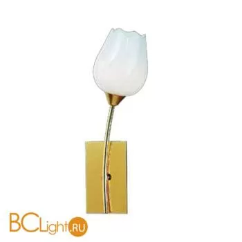 Бра Arte Lamp TULIP A8292AP-1PB