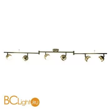 Спот (точечный светильник) Arte Lamp Venerd A6009PL-6AB