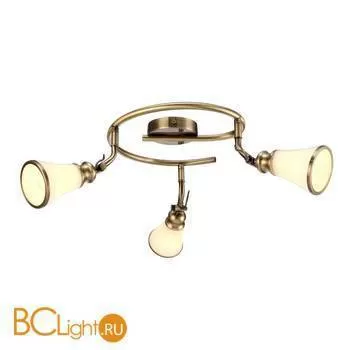 Спот (точечный светильник) Arte Lamp Vento A9231PL-3AB