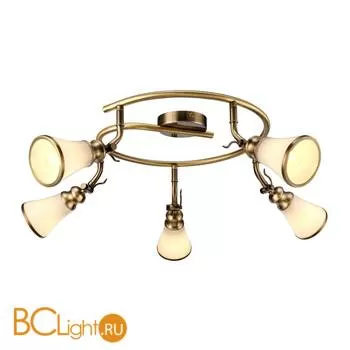 Спот (точечный светильник) Arte Lamp Vento A9231PL-5AB