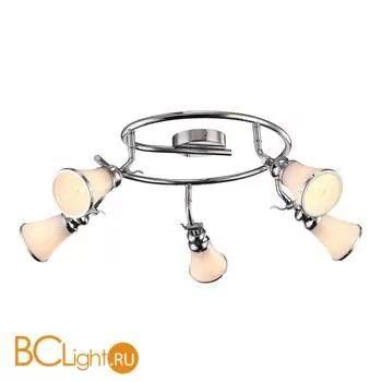 Спот (точечный светильник) Arte Lamp Vento A9231PL-5CC