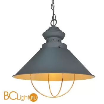 Подвесной светильник Arte Lamp Warhol A3129SP-1GY